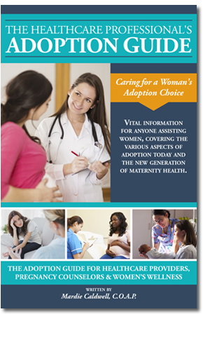The Healthcare Professional's Adoption Guide book cover